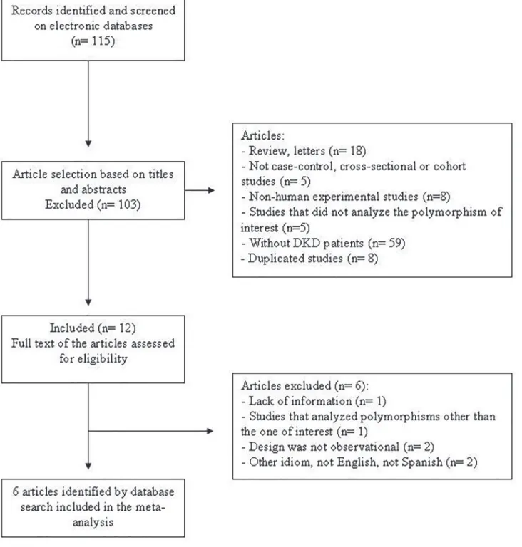 Fig 1. Flowchart illustrating the search strategy used to identify studies of association between the ENPP1 K121Q polymorphism and diabetic kidney disease for inclusion in the meta-analysis.