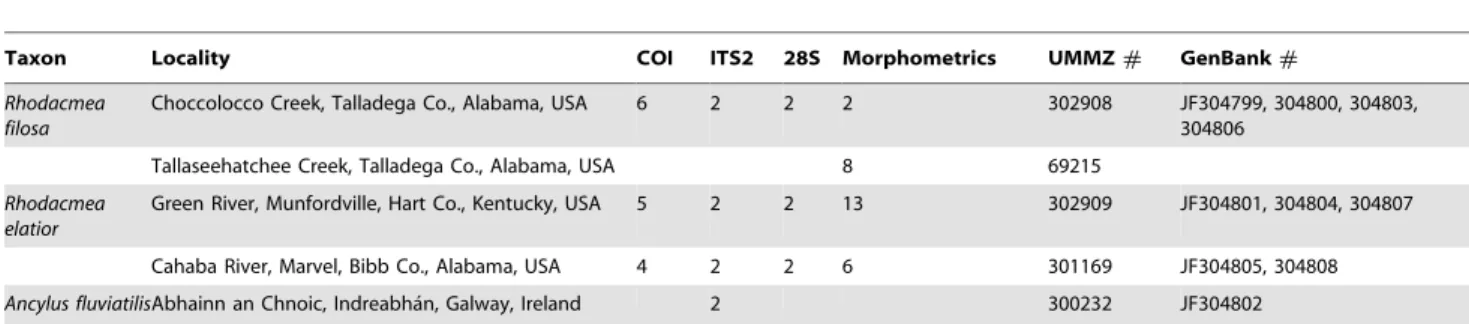 Table includes taxonomic identities, sampling locations, number of individuals sequenced per molecular marker, number of individuals processed for morphometric analysis, museum reference numbers and GenBank accession numbers.