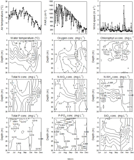 Fig. 1. Time series obtained for the main environmental parameters from June to December 2011