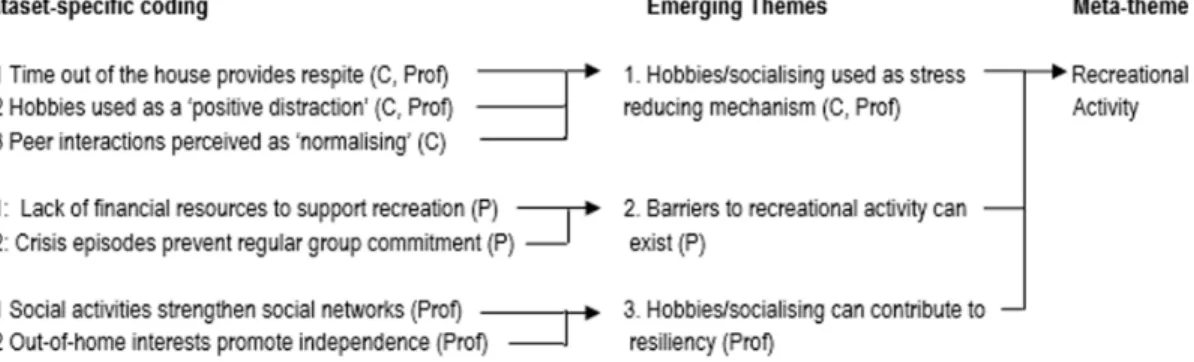 Table 2. Emergent themes grouped by overarching meta-themes.