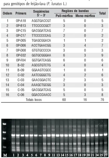 Tabela 2. Relação de primers e polimorfismo de bandas apresentados para genótipos de feijão-fava (P