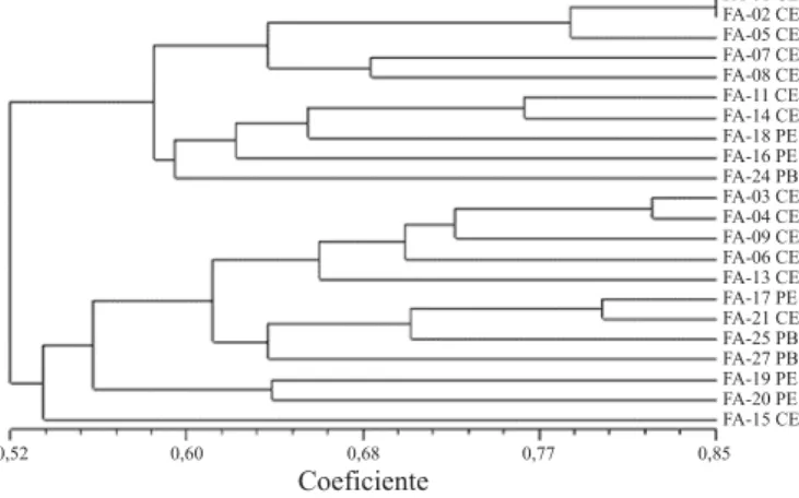 Figura 2. Análises de agrupamento dos 22 genótipos de feijão-fava (P.