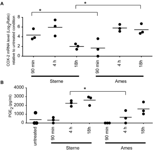 Figure 6. Time-dependent kinetic difference in the induction of COX-2 and PGE 2 expression (A) AMs were infected with either Ames or Sterne spores for 90 min, 4 h or 18 h