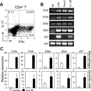 Figure 1. CD4 + T cell responses and the induction of IL-12 family genes after infection with L