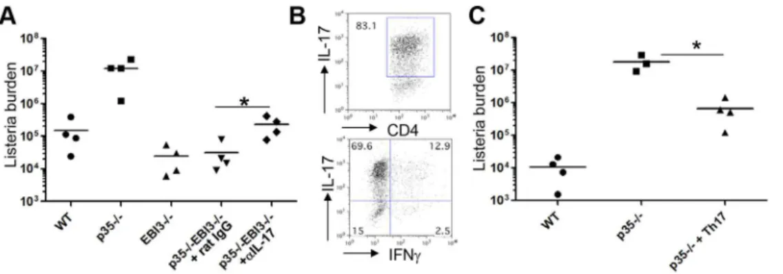 Figure 7. IL-17 and IL-22 cooperatively promote protective immunity against L. monocytogenes infection in p35 2/2 mice