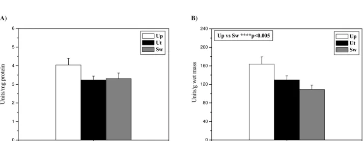 Fig.  4.  Specific  (A) and total (B)  activities of  phase II biotransformation  enzyme  GST in  the  foot  of Unio pictorum (Up), Unio tumidus (Ut),  and Sinanodonta woodiana (Sw)