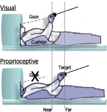 Figure 1. Schematic view of the experimental setup. Illustration of participants and target position (near or far from the hand) in the scanner during the visual (panel above) and proprioceptive (panel below) feedback conditions.