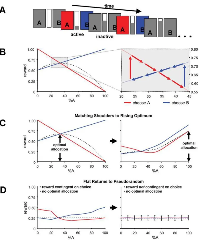 Figure 1. Experimental design. (A) Subjects were engaged in two decision-making tasks in which they were instructed to choose from one of two actions (A or B) with the goal of obtaining and maintaining maximum earned reward as indicated by a centrally loca