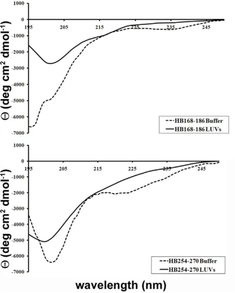 Figure 8. Secondary structure in lipid bilayers. CD spectra of HB168–186 and HB254–270 in buffer and in DOPC/Chol LUVs.