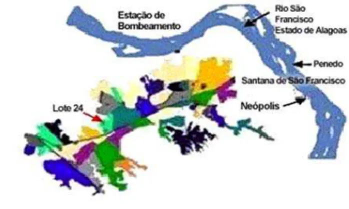 Figura 1. Localização do lote 24, no Distrito de irrigação Platô de Neópolis, SE