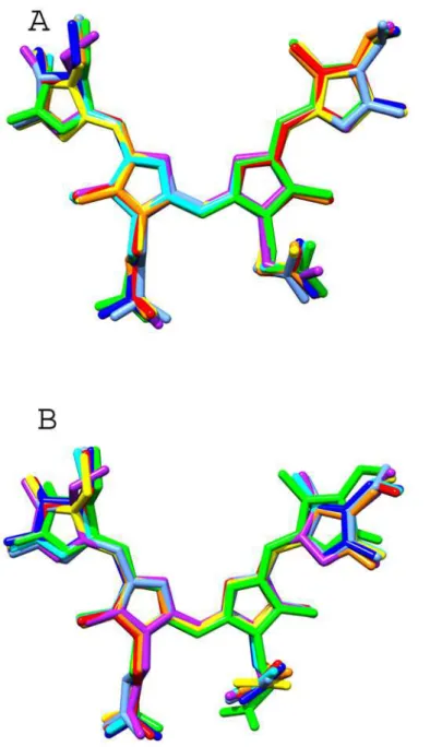 Fig 6. Configuration and conformation of the chromophores in the known APC structures