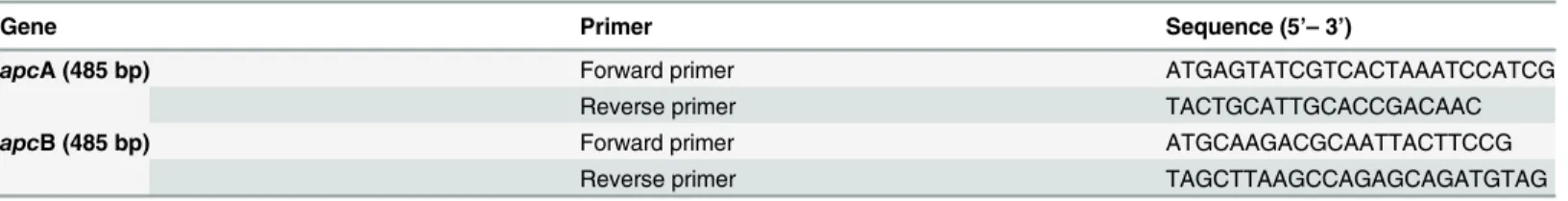 Table 1. List of designed primers for amplification of apcA and apcB genes.