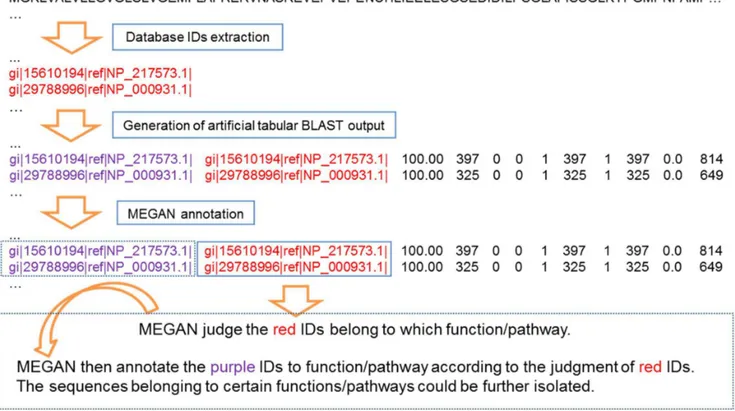 Figure 2. Procedure of sub-database construction using MEGAN.