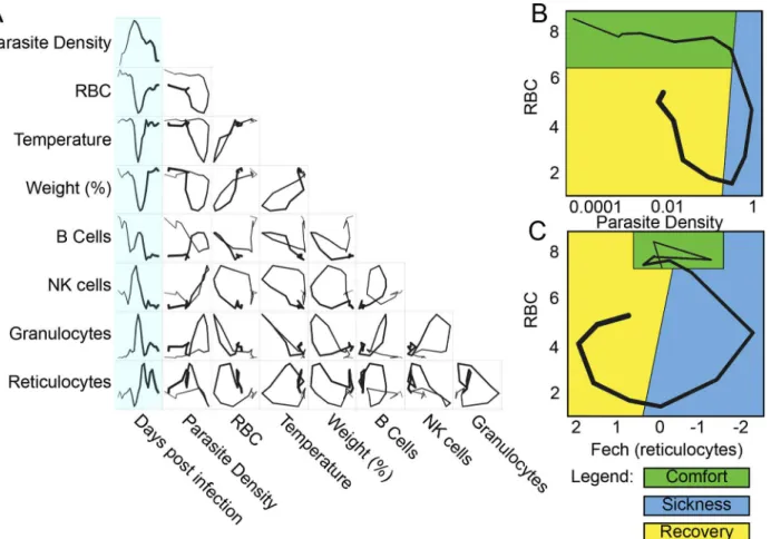 Fig 2. Disease space maps of malaria-infected mice. (A) Average values for eight parameters for three mice measured (and averaged) daily for 20 d are plotted in a timeline marked in blue