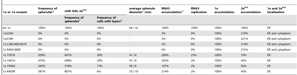 Table 3. Effects of two classes of helix A mutations on 1a-induced ER membrane rearrangements, BMV RNA3 accumulation, RNA replication, 1a and 2a Pol accumulation, and localization.