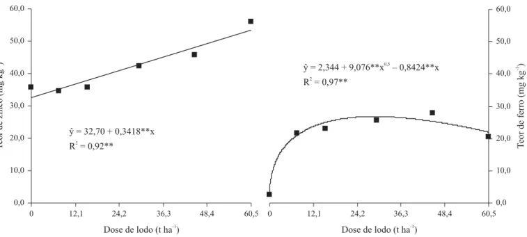 Figura 4. Teores de zinco e ferro em folhas de milho, em função de doses de lodo de esgoto aplicadas em Argissolo Amarelo; ** Significância a 1% pelos testes t (parâmetros) e F (regressão)