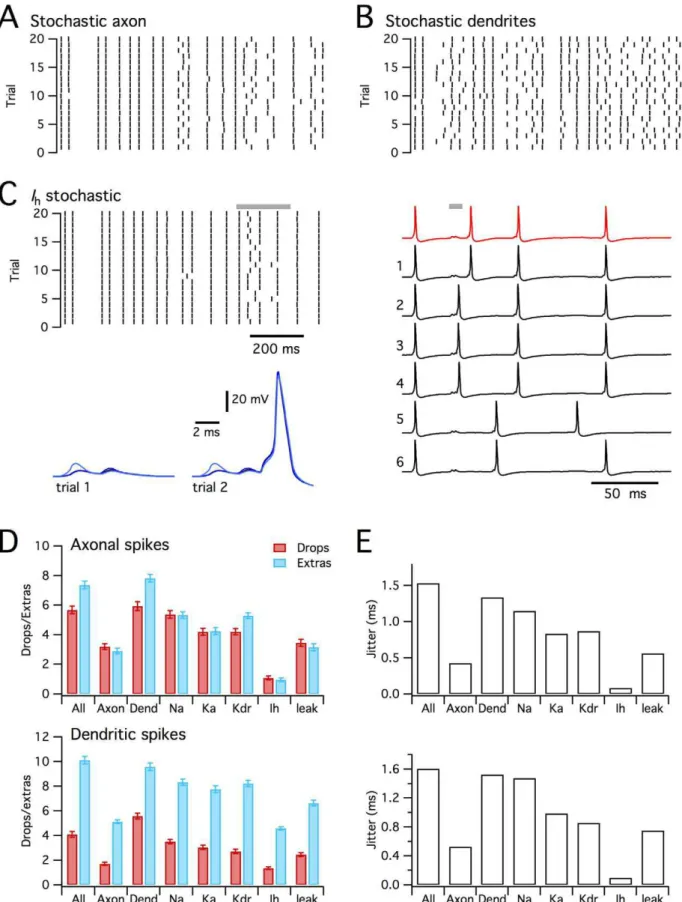 Figure 9. Differential impact of distinct ion channel types and locations. (A–B) Rasters for first 20 trials of responses of the CA1 pyramidal neuron simulated as in Figure 8, but with stochastic axonal and deterministic dendritic ion channels (A) or stoch
