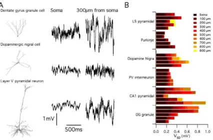 Figure 7. Channel kinetics determine the functional impact of stochastic gating. (A–B) Simulated membrane potential of a model layer V pyramidal neuron (A) and a dentate gyrus granule cell (B) containing either a deterministic leak conductance, fast gating