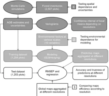 Fig 2. Flowchart followed for statistical analyses. The grey colours indicate the different steps of analysis.