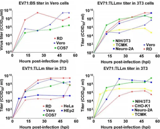 Figure 3. Growth kinetics of EV71:BS, EV71:TLLm, and EV71:TLLmv determined in NIH/3T3 and Vero cells