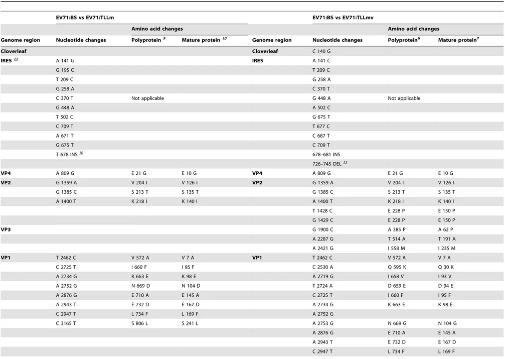 Table 3. Adaptive mutations observed in the 59UTR and P1 regions of EV71:TLLm and EV71:TLLmv viral genomes.