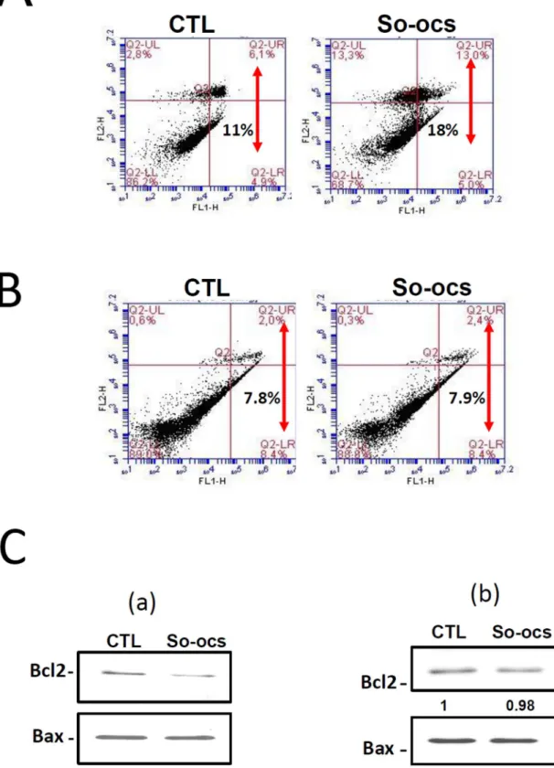 Figure 6. SO-OCS induced apoptosis in MCF-7 cells but not in MDA-MB-231 cells. A Representative apoptosis assay carried out by annexin V staining after 72-h treatment of MCF-7 (A) and MDA-MB-231 cells (B) with SO-OCS at concentration of 40 mM