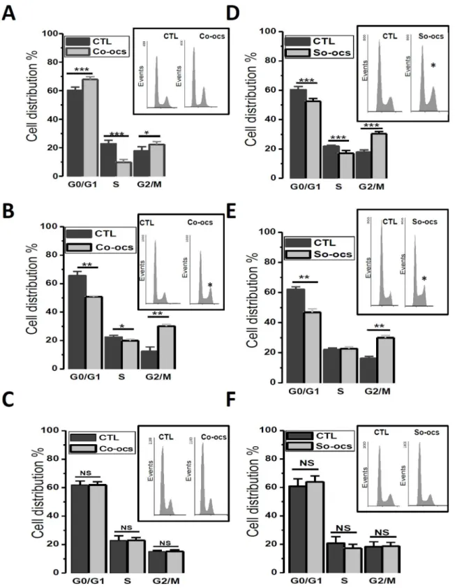 Figure 2. CO-OCS and SO-OCS arrested cell cycle at specific phases in breast cancer cell lines but not in normal cell line