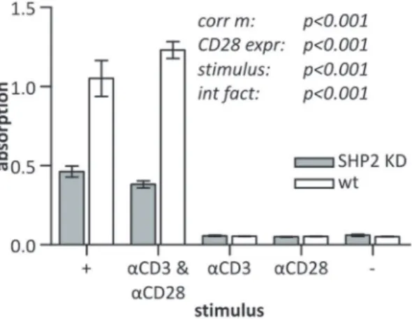 Figure 8. Effect of SHP2 depletion on IL2 expression. SHP2 KD and wt Jurkat E6.1 T cells were stimulated with PMA + ionomycin (+), aCD3 &amp; aCD28, aCD3 alone, aCD28 alone or were left unstimulated (–) for 22 h