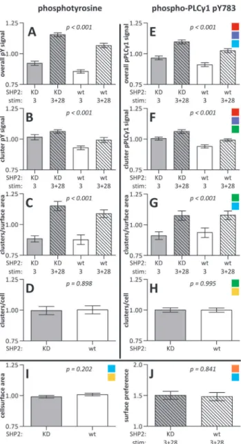 Fig. 6A &amp; Fig. 7). In parallel the intensity of the phosphorylated tyrosine microclusters was 7.9% higher in these cells (CI 4.3%–