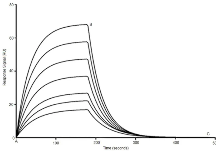 Table 1. Unmodified and PS-modified SL 2 -B aptamer sequences along with their equilibrium dissociation constant (K d ) values determined using surface plasmon resonance (SPR) spectroscopy.