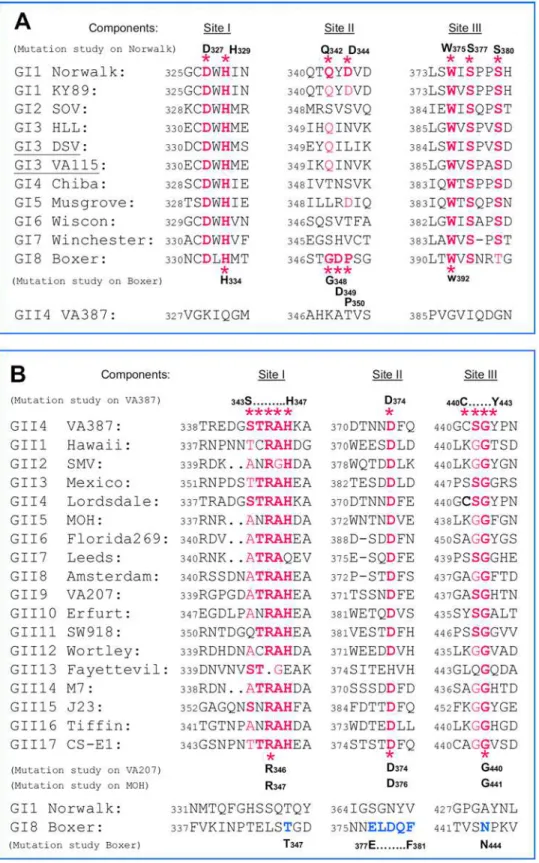 Figure 3. Sequence alignments of the HBGA-binding interfaces of various GI and GII noroviruses