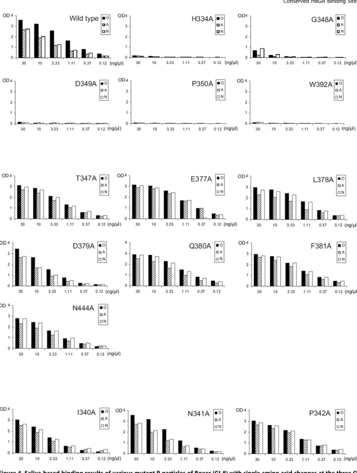 Figure 4. Saliva-based binding results of various mutant P particles of Boxer (GI-8) with single amino acid changes at the three GI conserved sites (upper panel), at the regions corresponding to the three GII-conserved sites (middle panel), and at regions 