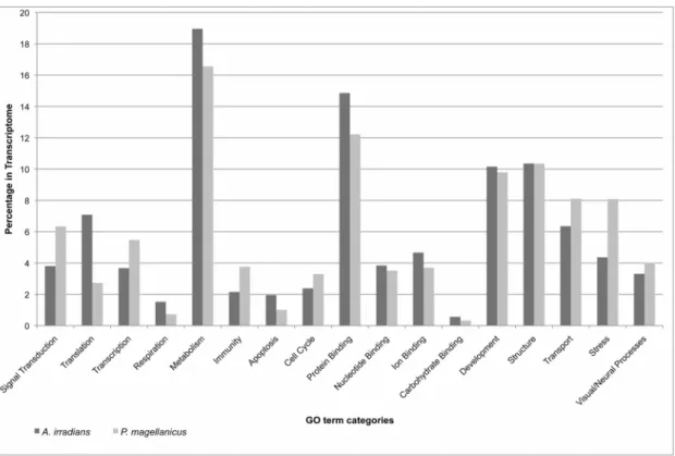Table 3. Protein domain annotation of A. irradians and P. magellanicus adult eye transcriptomes.