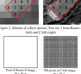 Figure 3. Relation of pixels from Resurs-P and CASI sensors  For test site 1 (Figure 2) we collected 9 reflectance spectra from  each  of  Resurs-P,  CASI  and  ASD  data in  corresponded  points