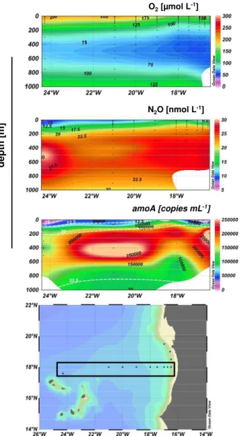 Fig. 2. 1N 2 O versus the apparent oxygen utilization (AOU) and nitrate in the ETNA (data from cruises ATA03, P348 and P399), the potential density is colour-coded.