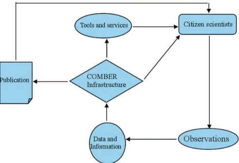 Figure 1. Schematic representation of the basic components of the COMBER project.