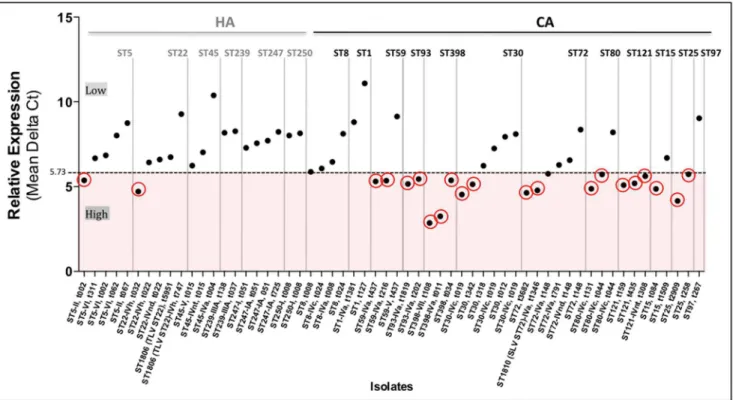 Figure 4. Distribution of the relative hla expression. Mean of relative expression of three independent readings