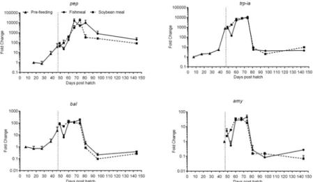 Fig 5. Development of the expression of gastric (pep) and pancreatic (trp-ia, bal and amy) digestive enzyme genes of juvenile Atlantic salmon as a function of time (days post hatch), differentiated by the pre-feeding period and the period following start-f