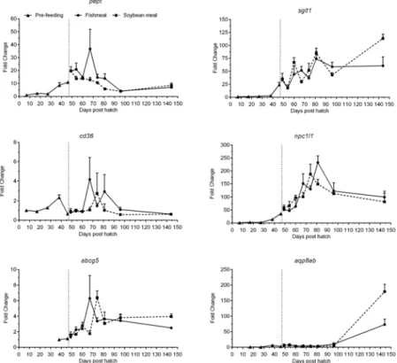 Fig 7. Development of the expression of transporter genes of juvenile Atlantic salmon as a function of time (days post hatch), differentiated by the pre-feeding period and the period following start-feeding (indicated by the vertical dotted line at 46 days