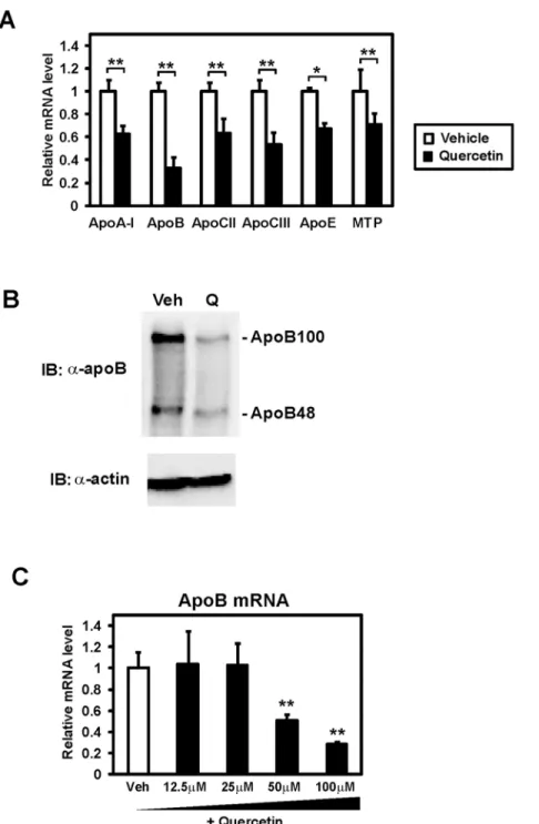 Fig 1. Quercetin repressed the expression of genes related to lipoprotein metabolism in Caco-2 cells.