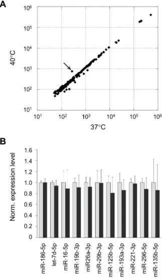 Figure 2. Expression profiles of miRNAs under normal and heat stress conditions. (A) Expression profiles of miRNAs in HeLa cells that were exposed to a mild hyperthermia (40uC) as well as normal temperature (37 u C) for 12 h were examined by means of the  