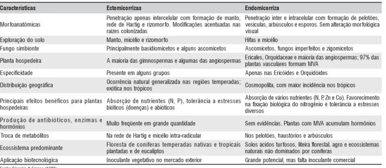 Tabela 1. Características diferenciais dos principais tipos de micorrizas