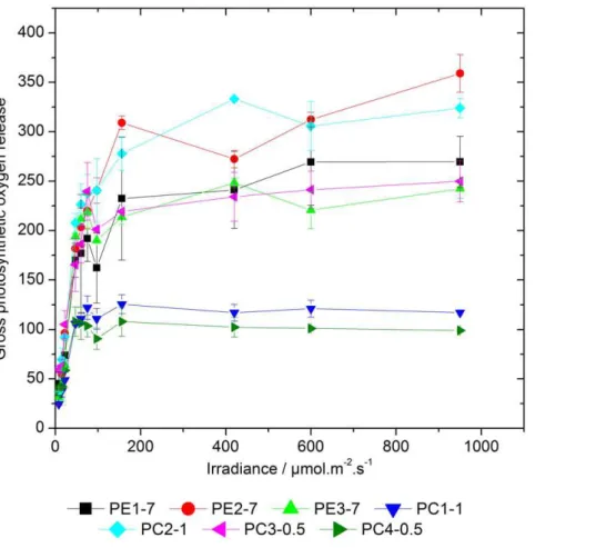 Figure 1. Light intensity-dependent rates of photosynthetic oxygen evolution in different Synechococcus spp