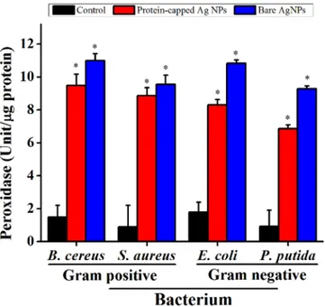 Fig 8. Levels of peroxidase in untreated and treated bacterial cells. The data are expressed as mean ± standard error of three independent experiments (p &lt; 0.05).