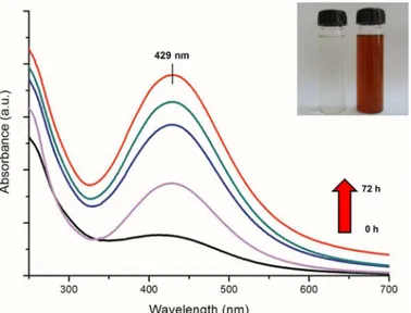 Fig 1. UV visible spectrum of reaction medium as a function of time (0, 12, 24, 48 and 72 h)