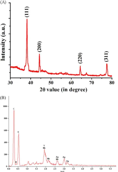 Fig 2. (A) A representative transmission electron micrograph showing spherical shaped silver nanoparticles (scale bar equivalent to 50 nm)
