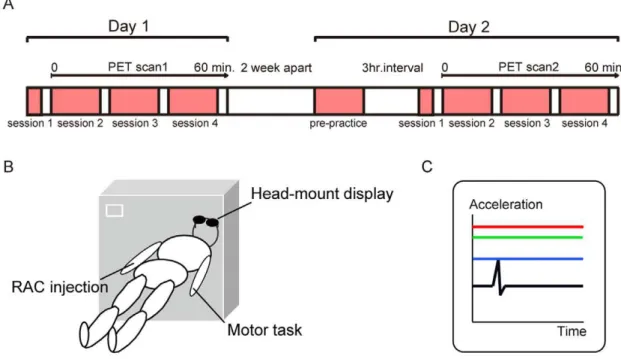 Figure 1. Experimental procedures. (A) Time schedule of experiments. Subjects were scanned for evaluating striatal dopamine levels using 11 C- C-raclopride PET on Day 1 (initial skill-training condition) and Day 2 (acquired condition)