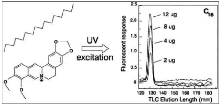 Figure 1. Fluorescent response after berberine sulfate and  alkane interaction and its UV activation