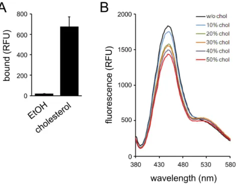 Figure 3. Cell surface labeling with TNM-AMCA. (A, B) A431 cells were fixed and labeled with TNM-AMCA