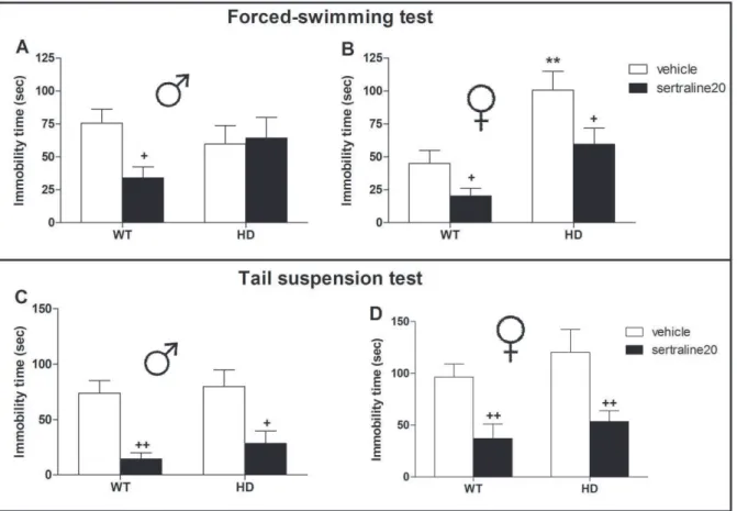 Figure 1. Effect of sex, HD mutation and acute sertraline administration on immobility time in mice exposed to the forced- forced-swimming test (FST) and the tail suspension test (TST)